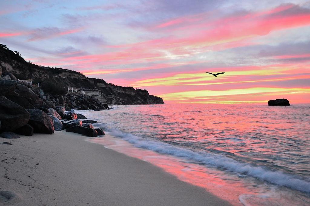 Borgo Di Riaci Beach Resort Санта-Доменика Экстерьер фото